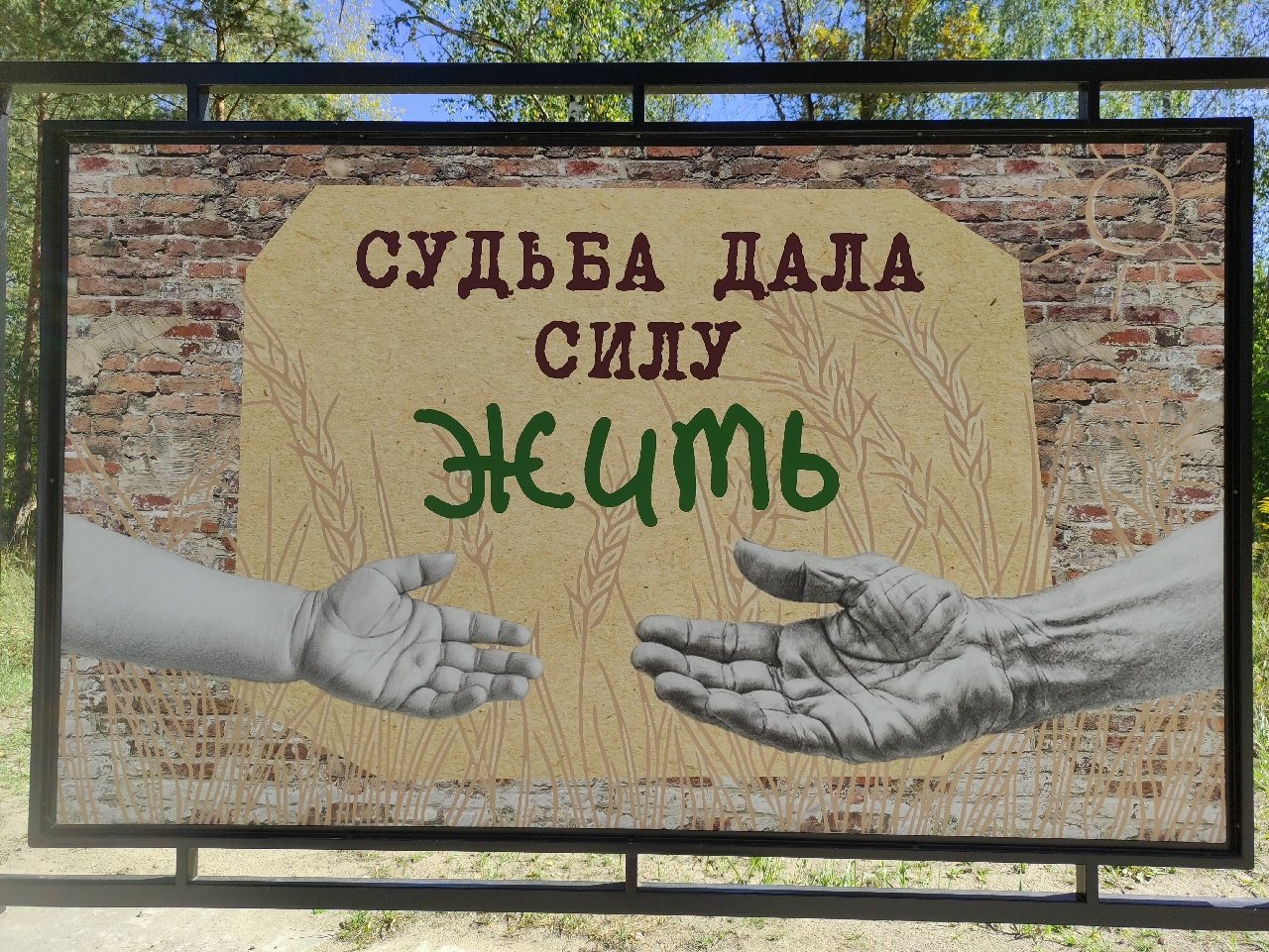 Митинг