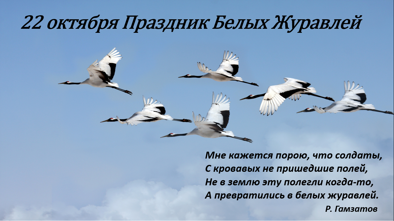Белые журавли