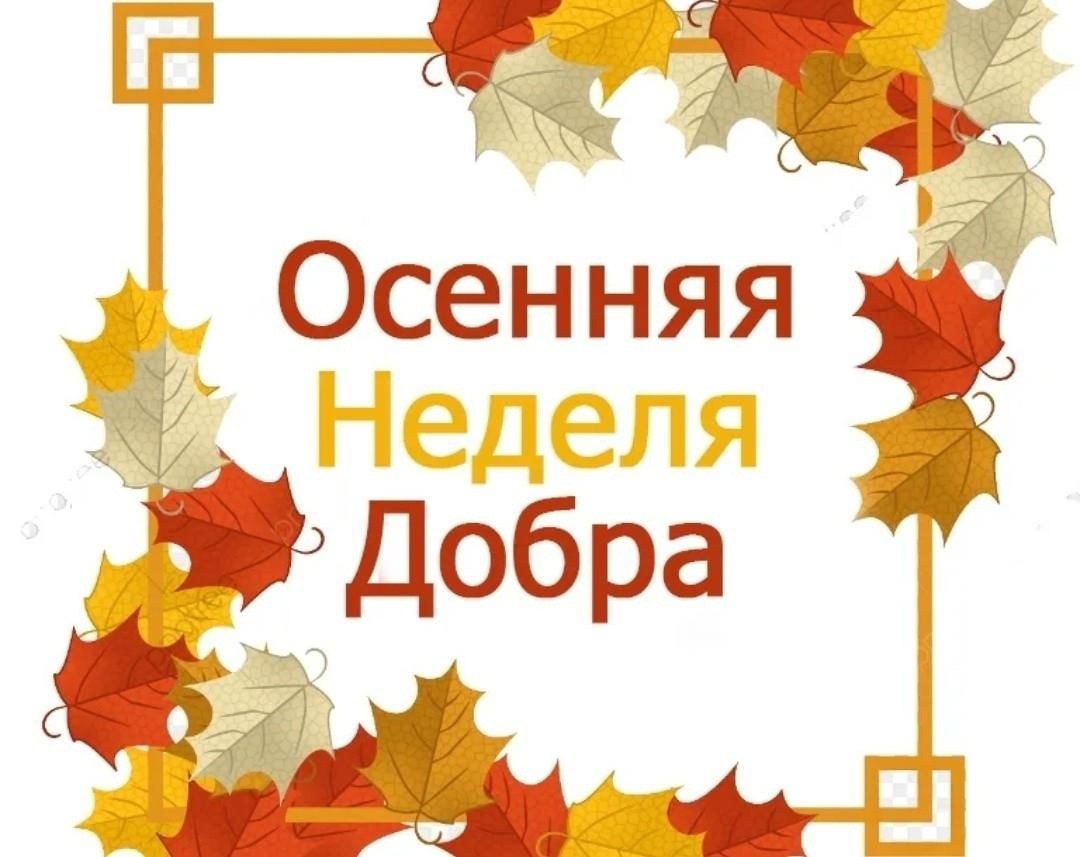 «Веселые старты»